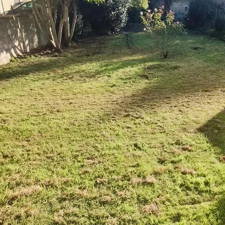 Daire Neuf Idealement Place Avec Terrasse Et Jardin Angoulême